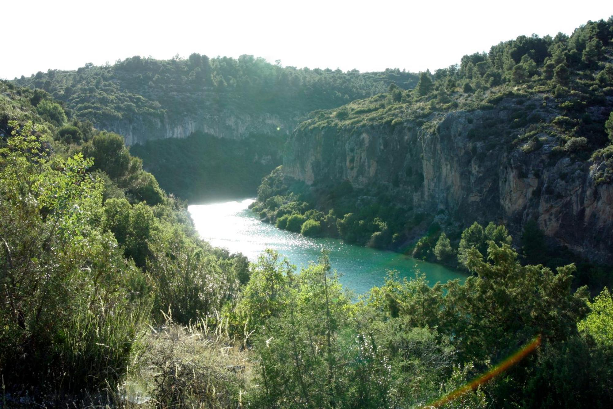 La Del Hidalgo De Alarcón